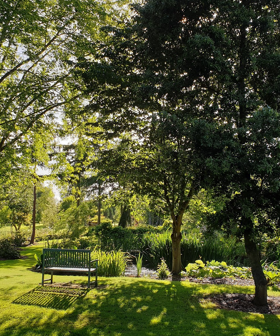 Sit by the pond at Bluebell Arboretum and Nursery